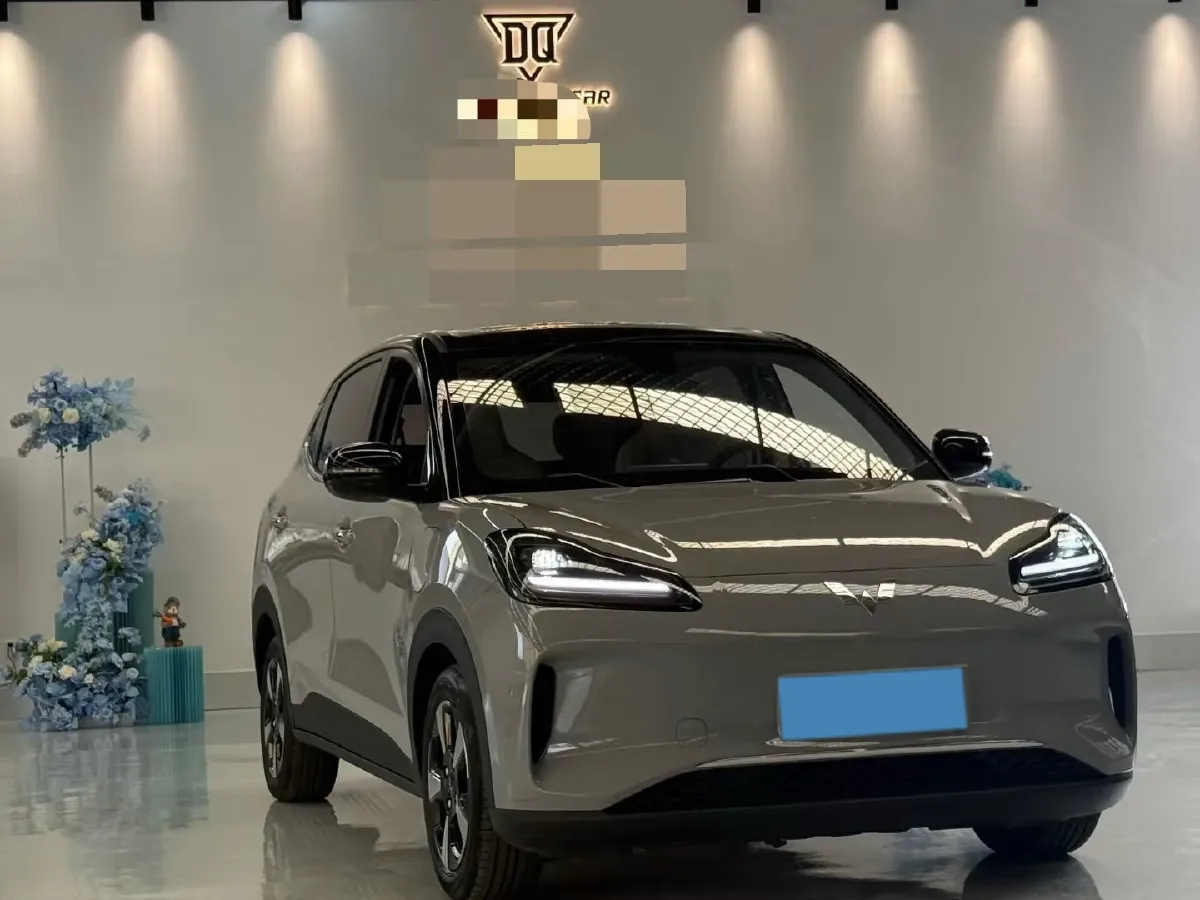 2024 WuLing BinGuoPLUS BEV 50.6KWH,autocango,china used car exporter,china ev exporter,chinese used car exporter,chinese used ev exporter
