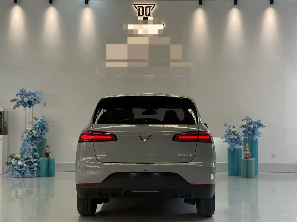 2024 WuLing BinGuoPLUS BEV 50.6KWH,autocango,china used car exporter,china ev exporter,chinese used car exporter,chinese used ev exporter