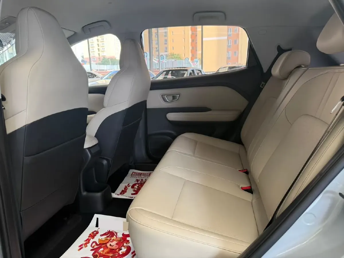 2024 WuLing BinGuoPLUS BEV 50.6KWH,autocango,china used car exporter,china ev exporter,chinese used car exporter,chinese used ev exporter