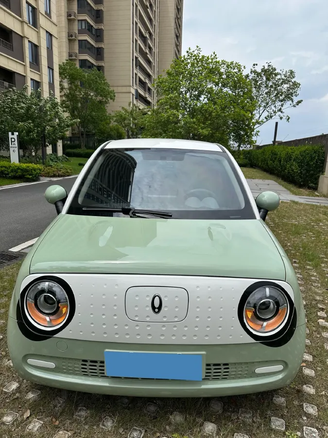 2022 Ora BlackCat BEV 30.3KWH,autocango,china used car exporter,china ev exporter,chinese used car exporter,chinese used ev exporter