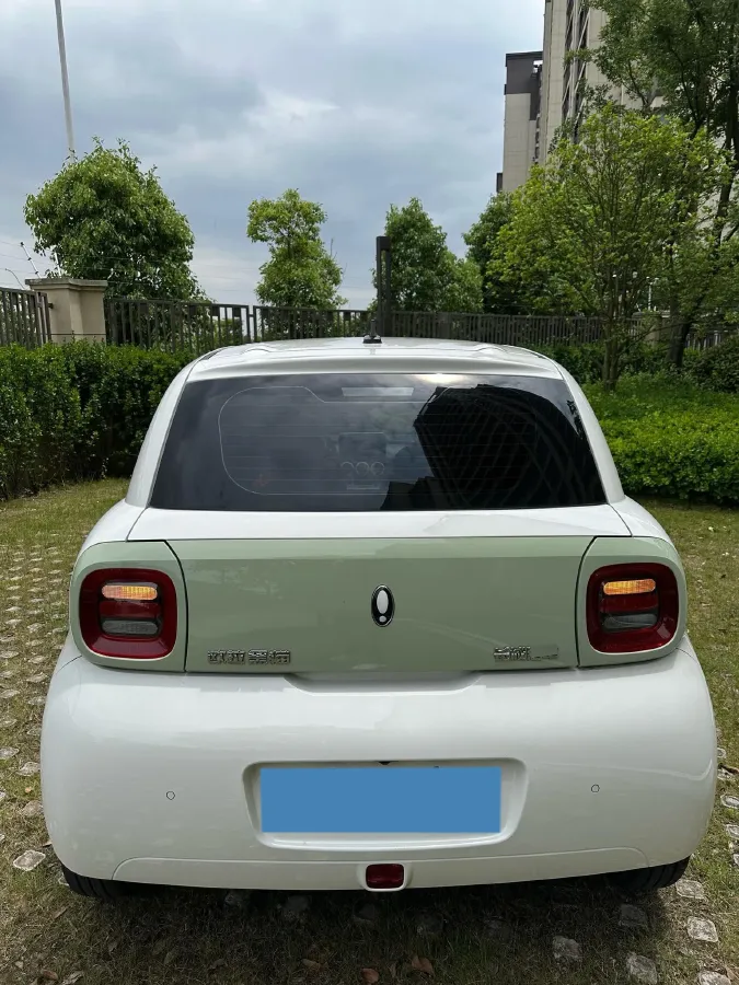 2022 Ora BlackCat BEV 30.3KWH,autocango,china used car exporter,china ev exporter,chinese used car exporter,chinese used ev exporter