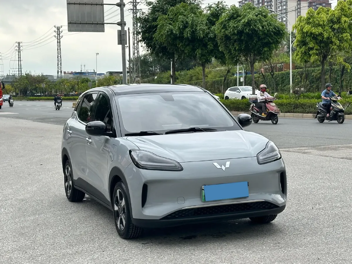 2024 WuLing BinGuoPLUS BEV 37.9KWH,autocango,china used car exporter,china ev exporter,chinese used car exporter,chinese used ev exporter