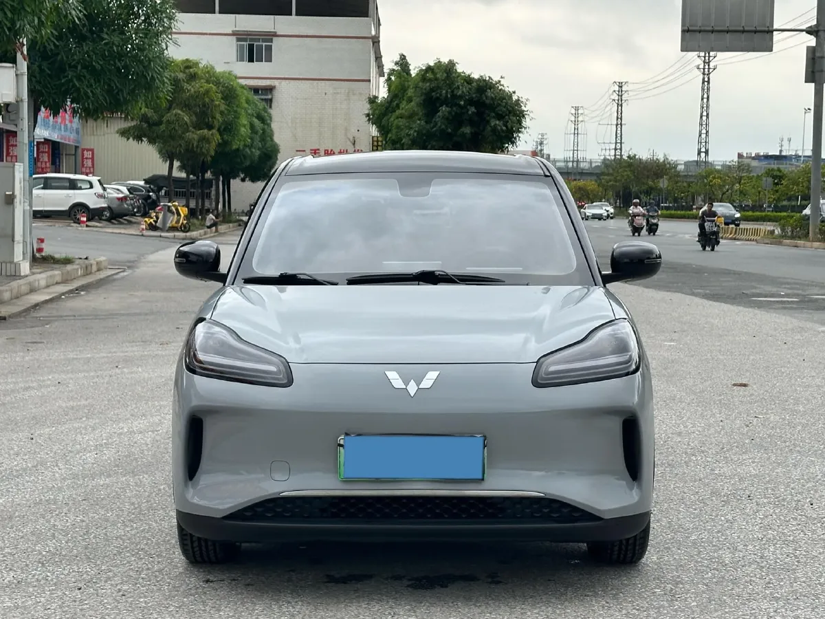 2024 WuLing BinGuoPLUS BEV 37.9KWH,autocango,china used car exporter,china ev exporter,chinese used car exporter,chinese used ev exporter
