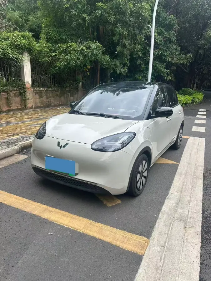 2024 WuLing BinGuo BEV 31.9KWH,autocango,china used car exporter,china ev exporter,chinese used car exporter,chinese used ev exporter