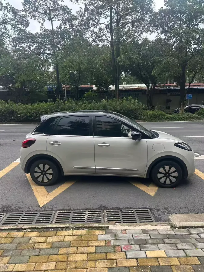 2024 WuLing BinGuo BEV 31.9KWH,autocango,china used car exporter,china ev exporter,chinese used car exporter,chinese used ev exporter