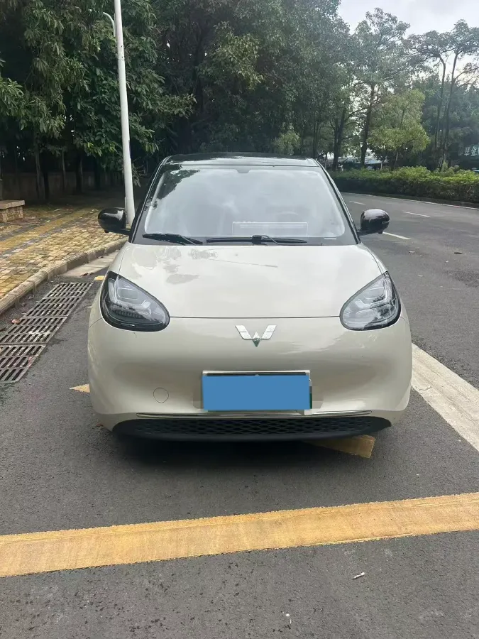 2024 WuLing BinGuo BEV 31.9KWH,autocango,china used car exporter,china ev exporter,chinese used car exporter,chinese used ev exporter