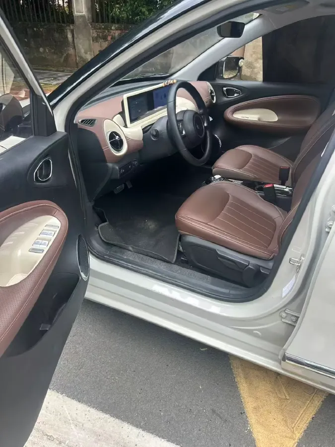 2024 WuLing BinGuo BEV 31.9KWH,autocango,china used car exporter,china ev exporter,chinese used car exporter,chinese used ev exporter