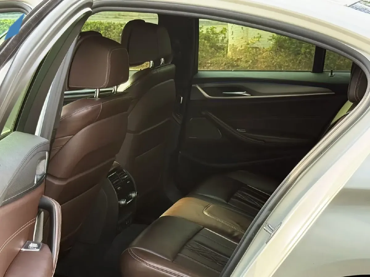 2020 BMW 5 Series 3.0T 340HP L6 8AT,autocango,china used car exporter,china ev exporter,chinese used car exporter,chinese used ev exporter