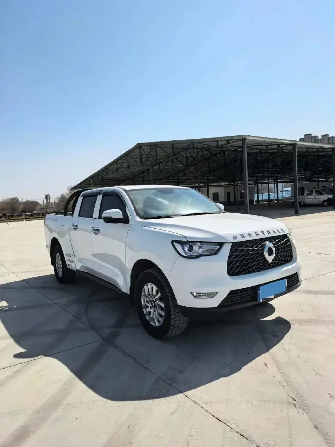 2019 Great Wall Poer 2.0T 163HP L4 6MT,autocango,china used car exporter,china ev exporter,chinese used car exporter,chinese used ev exporter