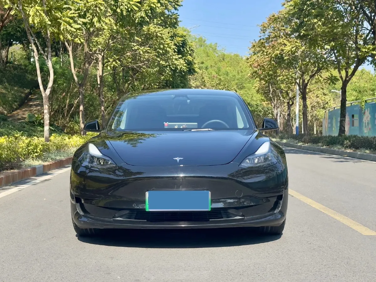 2021 Tesla Model 3 BEV 55KWH,autocango,china used car exporter,china ev exporter,chinese used car exporter,chinese used ev exporter