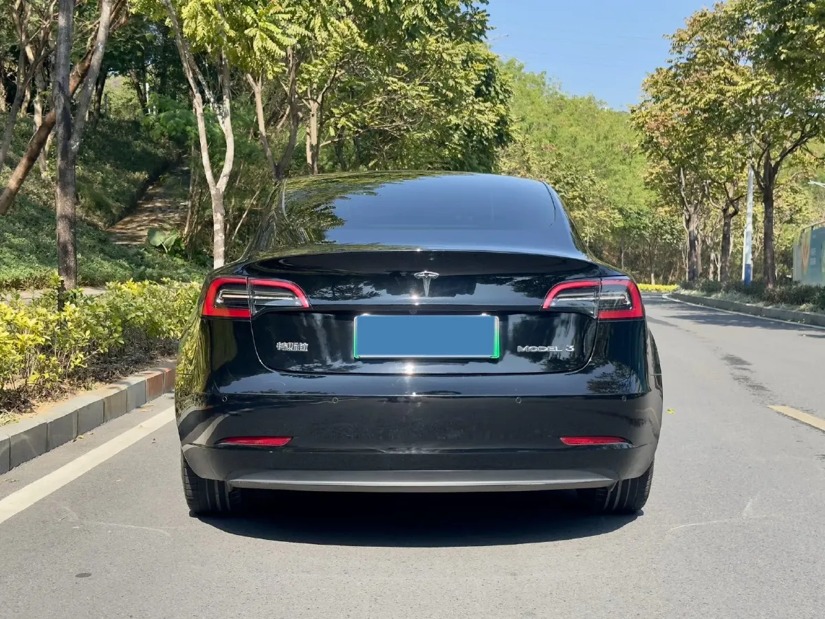 2021 Tesla Model 3 BEV 55KWH,autocango,china used car exporter,china ev exporter,chinese used car exporter,chinese used ev exporter