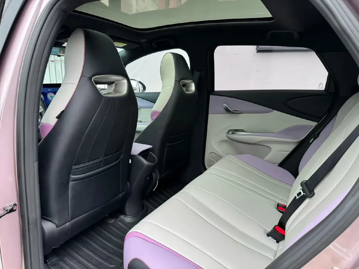 2021 BYD Yuan Pro BEV 50.1KWH,autocango,china used car exporter,china ev exporter,chinese used car exporter,chinese used ev exporter
