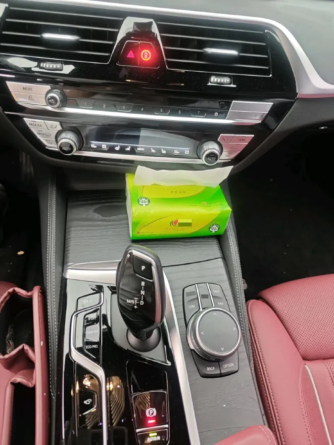 2023 BMW 5 Series 2.0T 245HP L4 8AT,autocango,china used car exporter,china ev exporter,chinese used car exporter,chinese used ev exporter