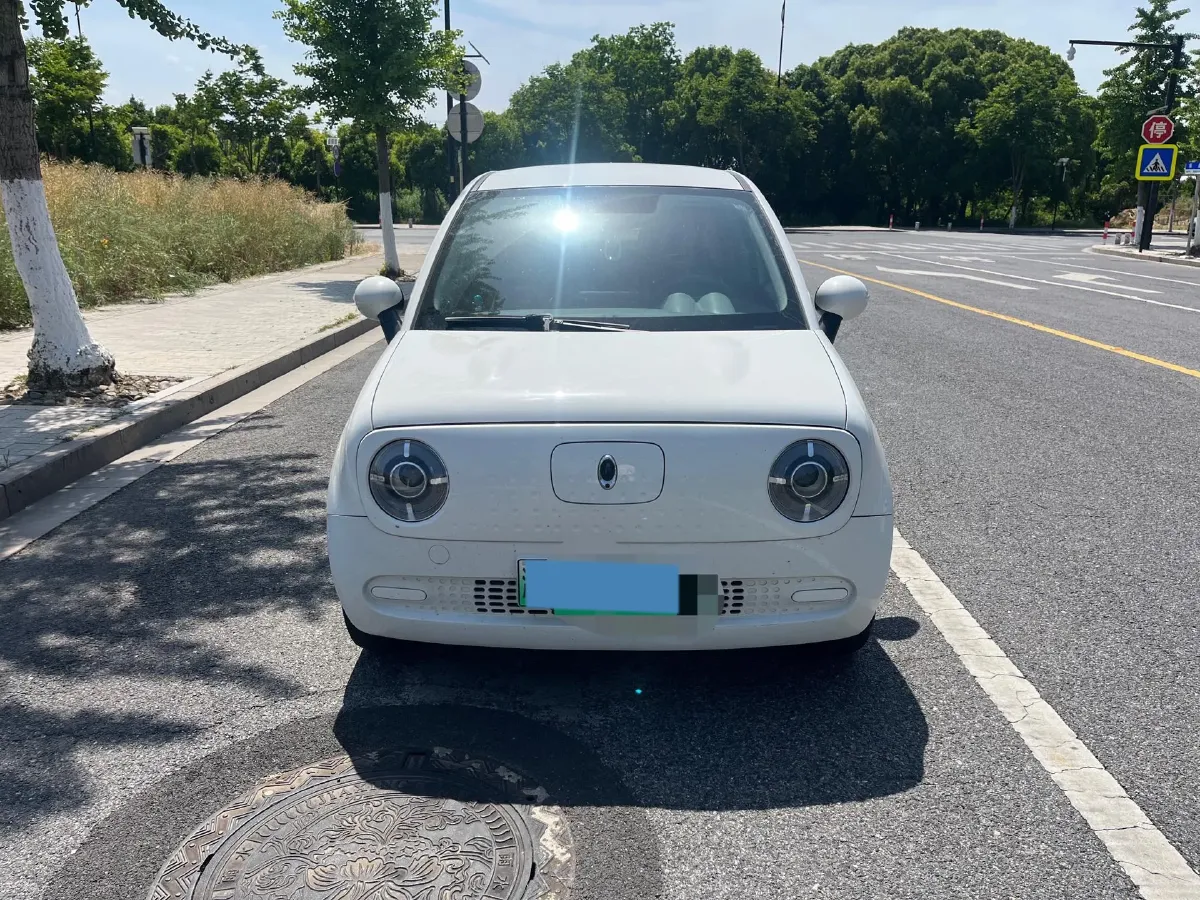2021 Ora BlackCat BEV 28.5KWH,autocango,china used car exporter,china ev exporter,chinese used car exporter,chinese used ev exporter