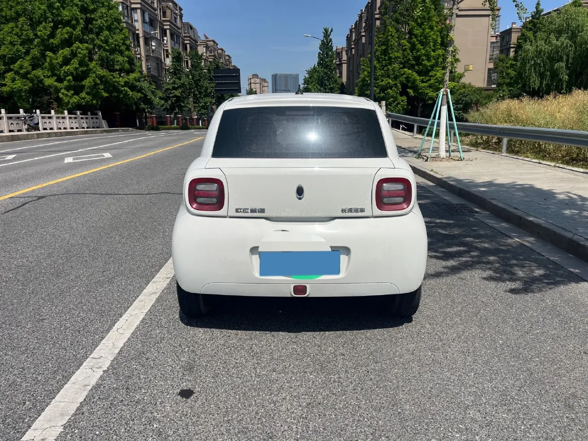 2021 Ora BlackCat BEV 28.5KWH,autocango,china used car exporter,china ev exporter,chinese used car exporter,chinese used ev exporter