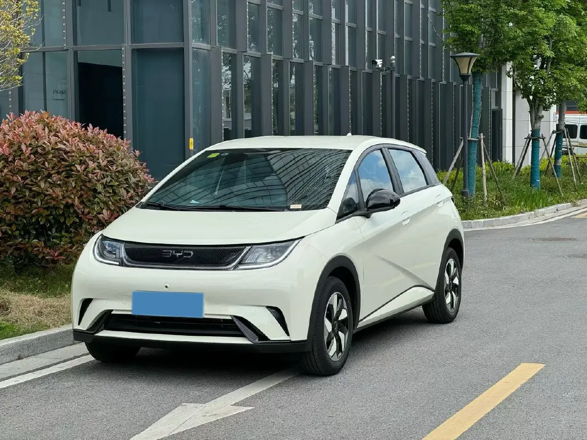 2025 BYD Dolphin BEV 44.928KWH,autocango,china used car exporter,china ev exporter,chinese used car exporter,chinese used ev exporter
