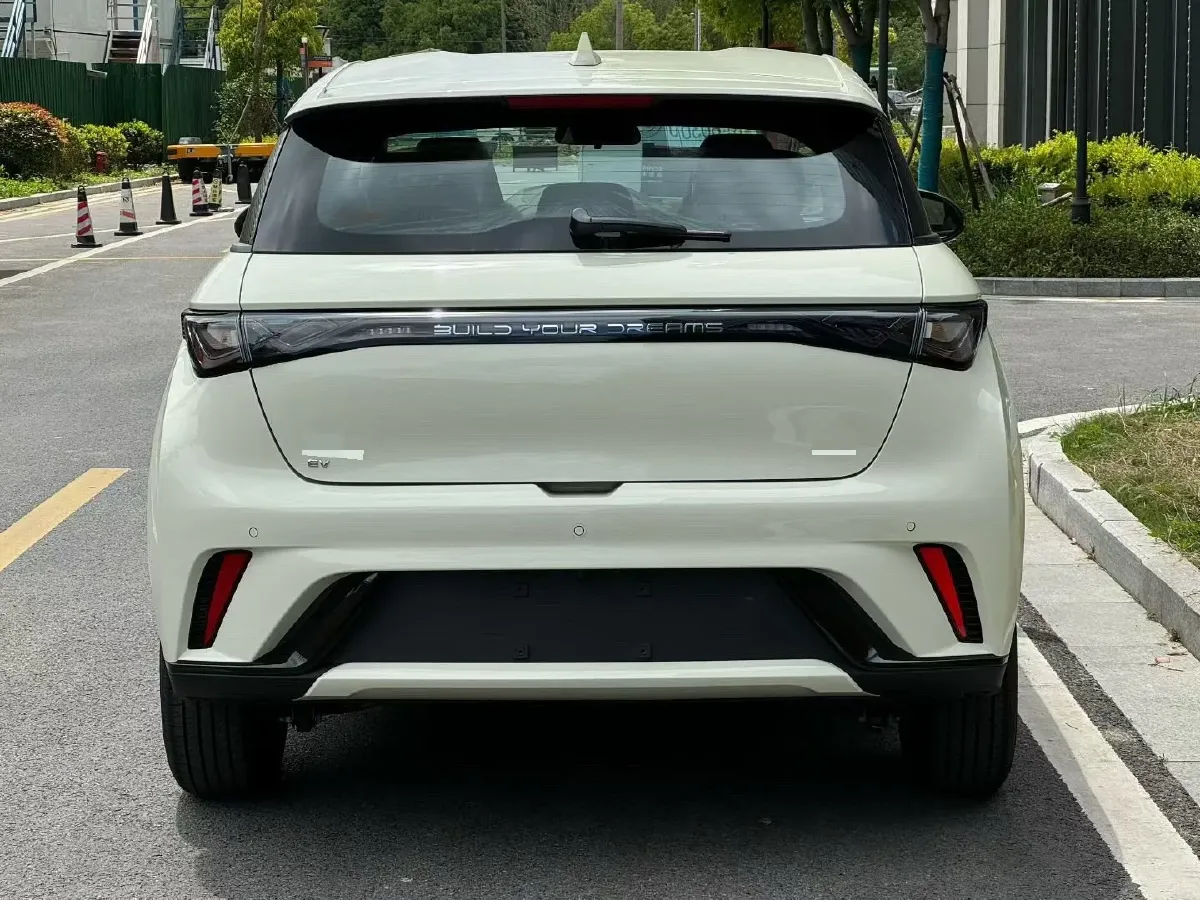 2025 BYD Dolphin BEV 44.928KWH,autocango,china used car exporter,china ev exporter,chinese used car exporter,chinese used ev exporter