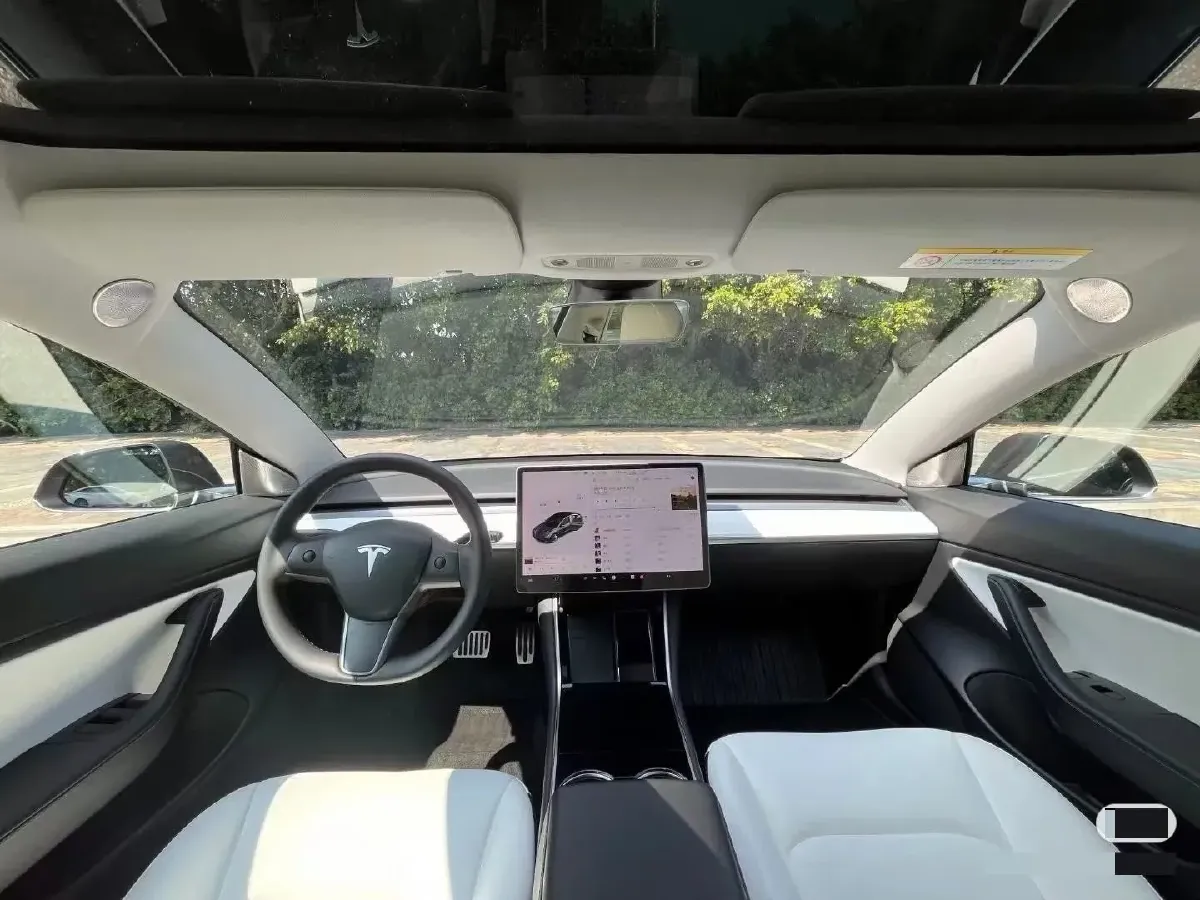 2021 Tesla Model 3 BEV 55KWH,autocango,china used car exporter,china ev exporter,chinese used car exporter,chinese used ev exporter