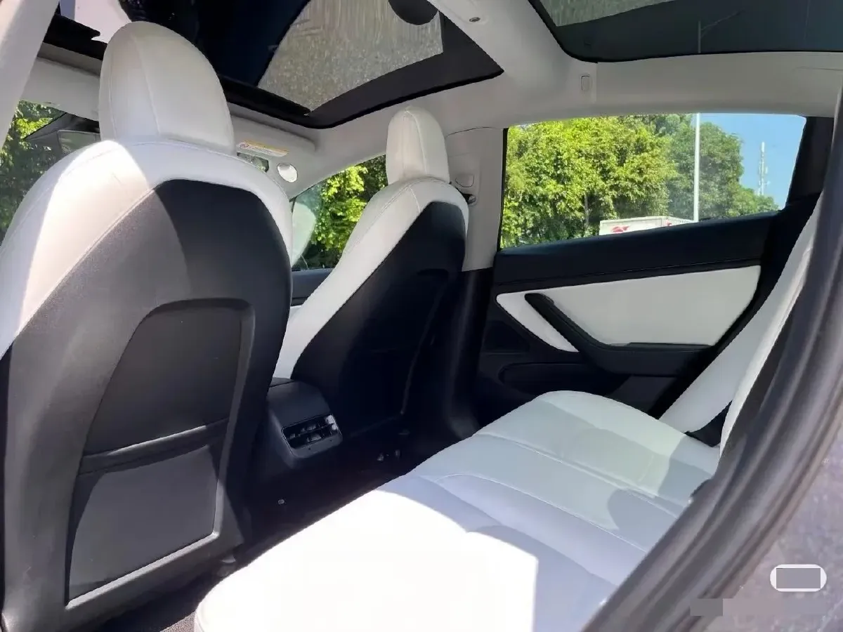 2021 Tesla Model 3 BEV 55KWH,autocango,china used car exporter,china ev exporter,chinese used car exporter,chinese used ev exporter