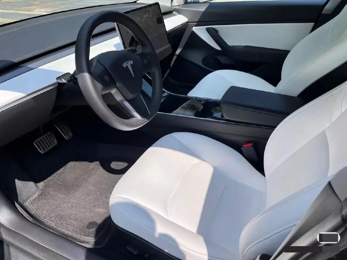 2021 Tesla Model 3 BEV 55KWH,autocango,china used car exporter,china ev exporter,chinese used car exporter,chinese used ev exporter