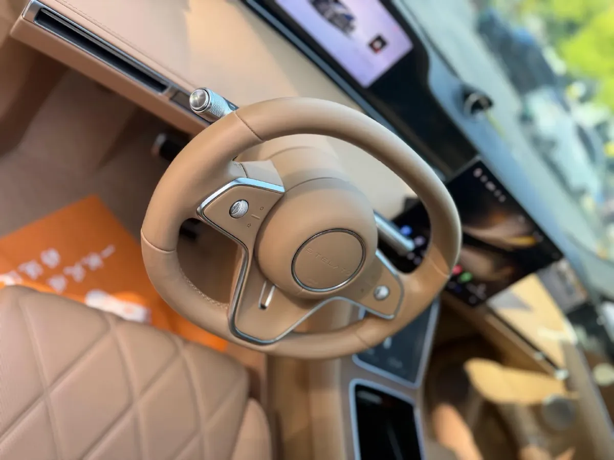 2024 HIMA Stelato S9 BEV 100KWH,autocango,china used car exporter,china ev exporter,chinese used car exporter,chinese used ev exporter