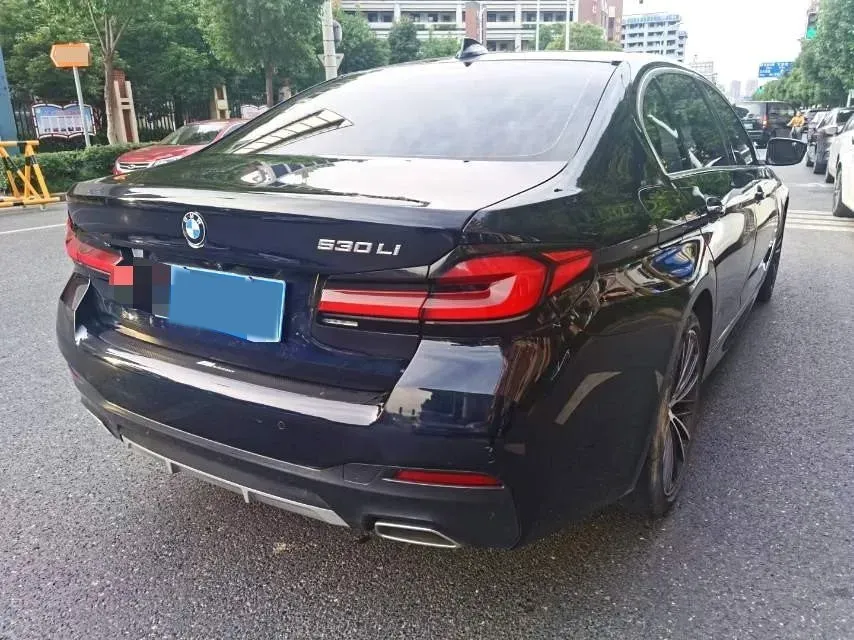 2021 BMW 5 Series 2.0T 252HP L4 8AT,autocango,china used car exporter,china ev exporter,chinese used car exporter,chinese used ev exporter