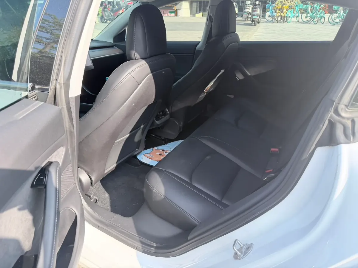 2019 Tesla Model 3 BEV 81KWH,autocango,china used car exporter,china ev exporter,chinese used car exporter,chinese used ev exporter