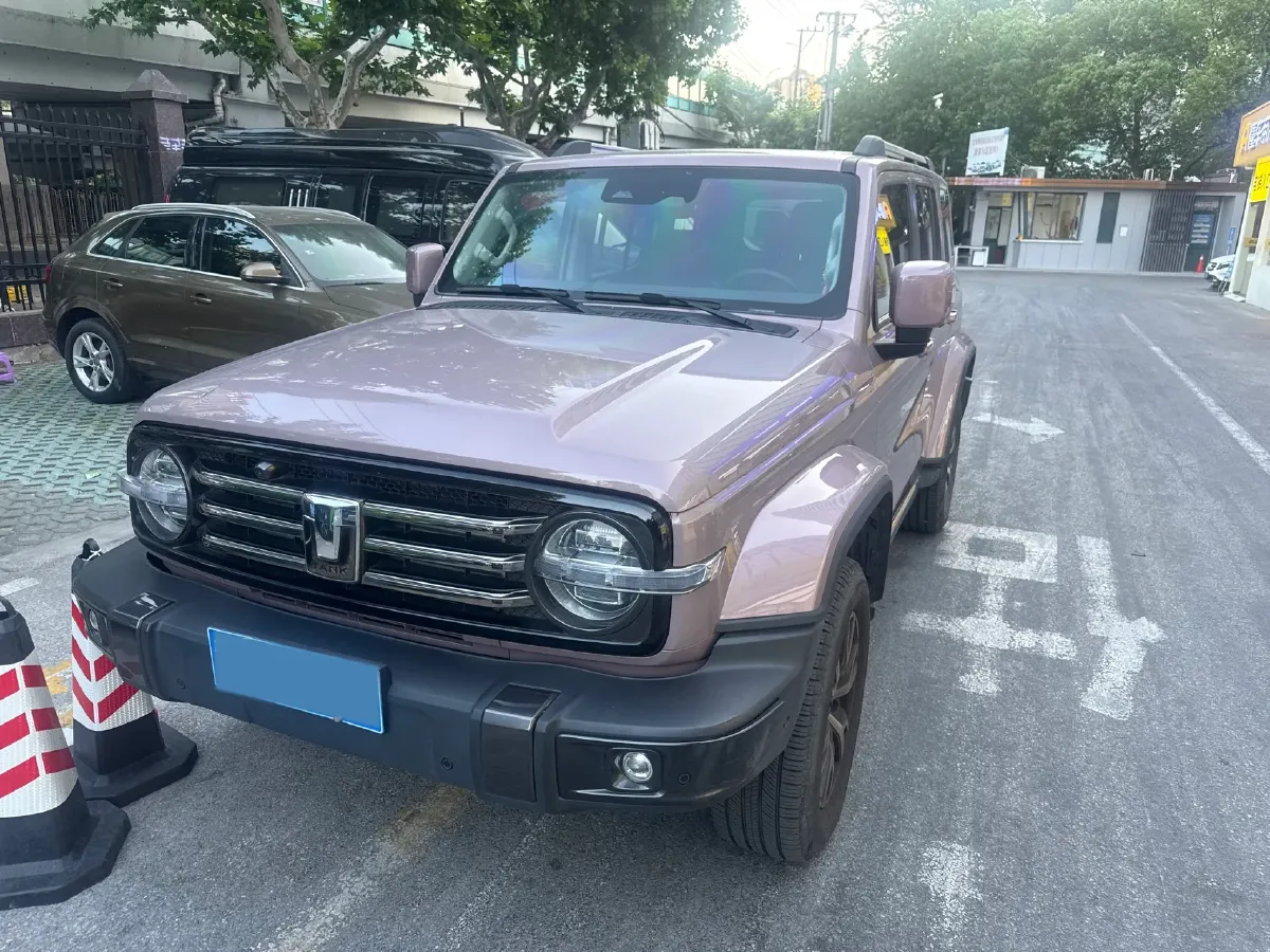 2023 Tank 300 2.0T 227HP L4 8AT,autocango,china used car exporter,china ev exporter,chinese used car exporter,chinese used ev exporter