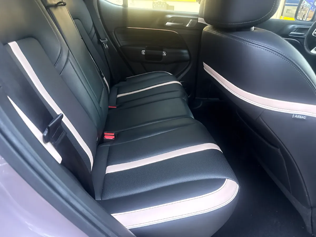 2023 Tank 300 2.0T 227HP L4 8AT,autocango,china used car exporter,china ev exporter,chinese used car exporter,chinese used ev exporter