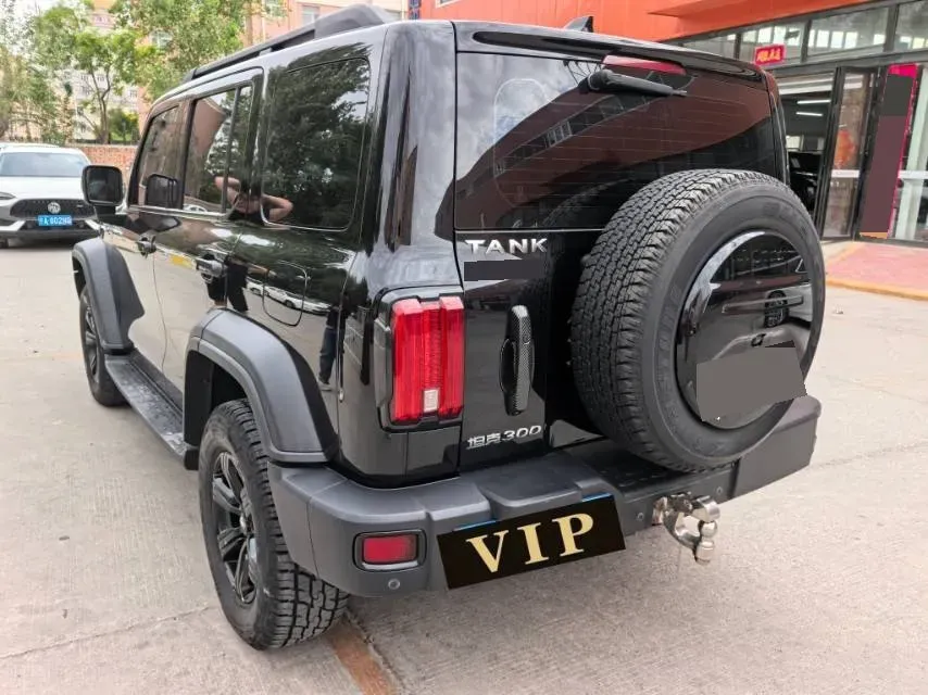 2021 Tank 300 2.0T 227HP L4 8AT,autocango,china used car exporter,china ev exporter,chinese used car exporter,chinese used ev exporter