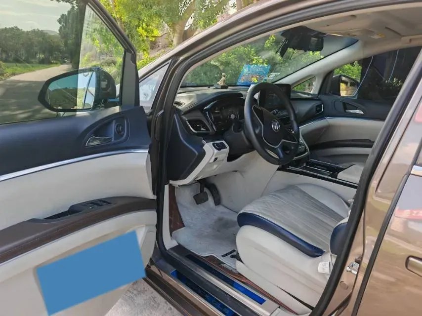 2022 Buick GL8 2.0T 237HP L4 9AT,autocango,china used car exporter,china ev exporter,chinese used car exporter,chinese used ev exporter