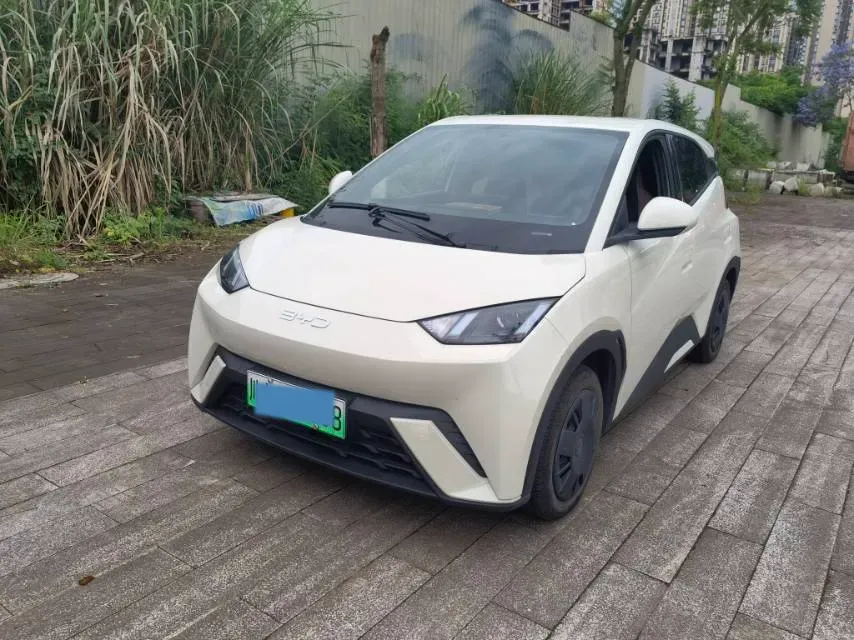 2025 BYD Seagull BEV 30.08KWH,autocango,china used car exporter,china ev exporter,chinese used car exporter,chinese used ev exporter