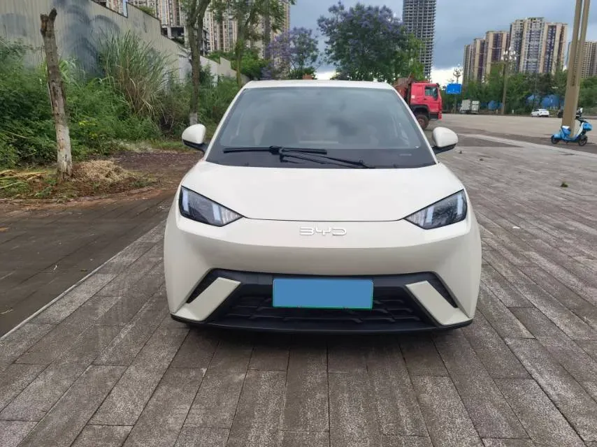 2025 BYD Seagull BEV 30.08KWH,autocango,china used car exporter,china ev exporter,chinese used car exporter,chinese used ev exporter