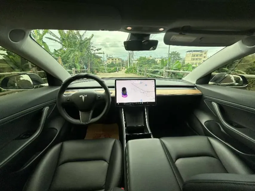 2020 Tesla Model 3 BEV 76.8KWH,autocango,china used car exporter,china ev exporter,chinese used car exporter,chinese used ev exporter