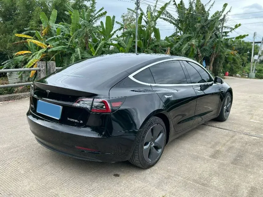 2020 Tesla Model 3 BEV 76.8KWH,autocango,china used car exporter,china ev exporter,chinese used car exporter,chinese used ev exporter