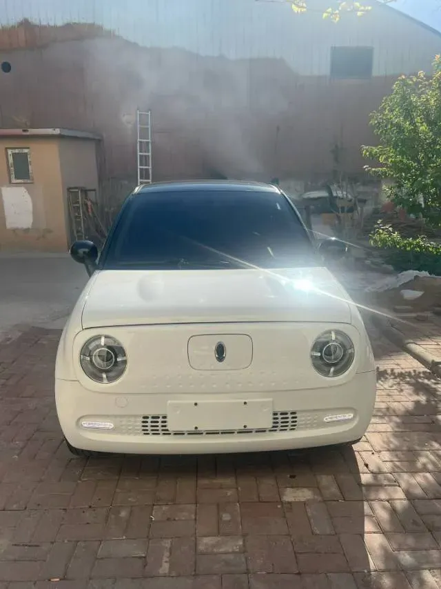 2021 Ora BlackCat BEV 33KWH,autocango,china used car exporter,china ev exporter,chinese used car exporter,chinese used ev exporter