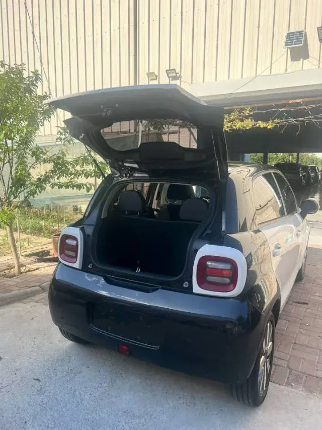 2021 Ora BlackCat BEV 33KWH,autocango,china used car exporter,china ev exporter,chinese used car exporter,chinese used ev exporter
