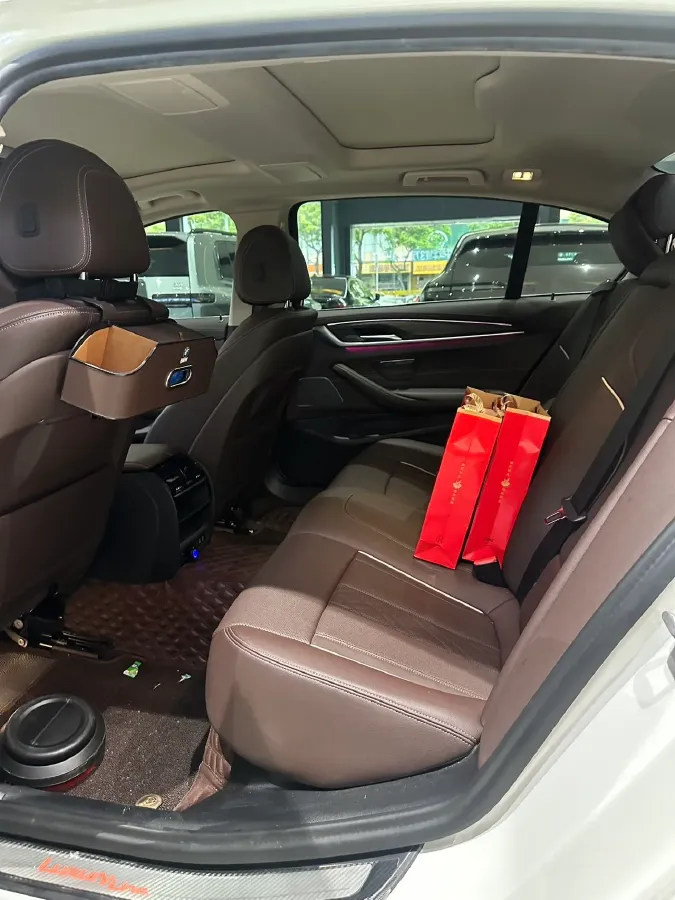 2021 BMW 5 Series 2.0T 252HP L4 8AT,autocango,china used car exporter,china ev exporter,chinese used car exporter,chinese used ev exporter