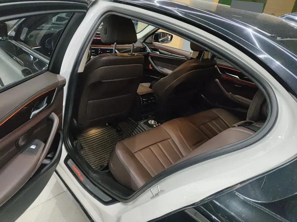 2020 BMW 5 Series 2.0T 184HP L4 8AT,autocango,china used car exporter,china ev exporter,chinese used car exporter,chinese used ev exporter