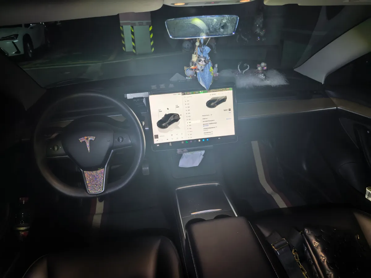 2022 Tesla Model 3 BEV 60KWH,autocango,china used car exporter,china ev exporter,chinese used car exporter,chinese used ev exporter