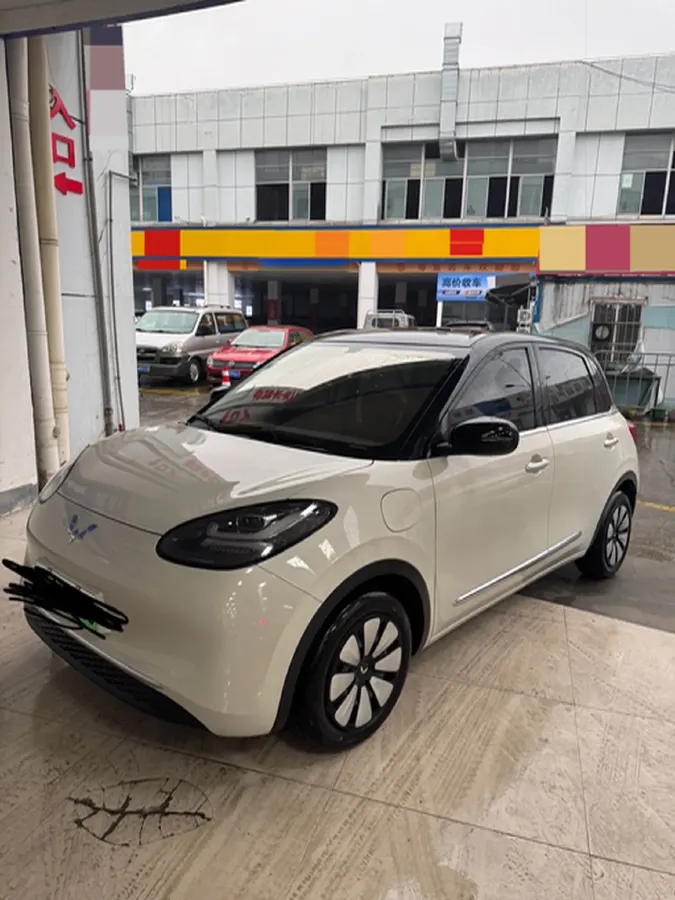 2024 WuLing BinGuo BEV 31.9KWH,autocango,china used car exporter,china ev exporter,chinese used car exporter,chinese used ev exporter