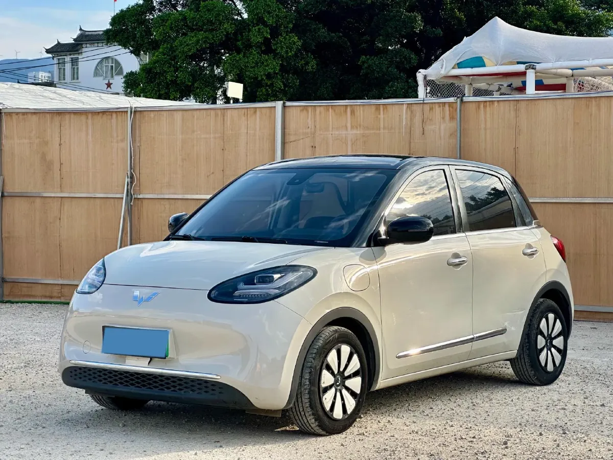 2023 WuLing BinGuo BEV 31.9KWH,autocango,china used car exporter,china ev exporter,chinese used car exporter,chinese used ev exporter