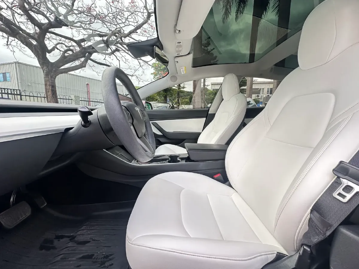 2020 Tesla Model 3 BEV 52KWH,autocango,china used car exporter,china ev exporter,chinese used car exporter,chinese used ev exporter