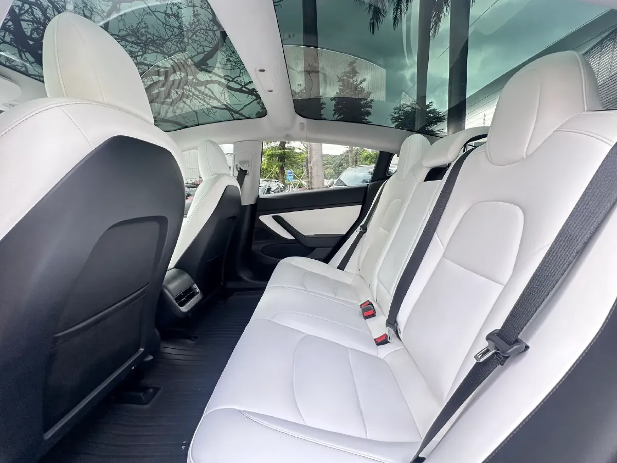 2020 Tesla Model 3 BEV 52KWH,autocango,china used car exporter,china ev exporter,chinese used car exporter,chinese used ev exporter