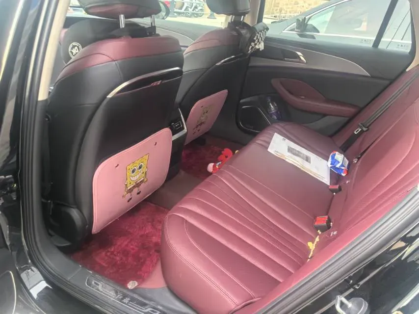 2023 HongQi H5 2.0T 224HP L4 8AT,autocango,china used car exporter,china ev exporter,chinese used car exporter,chinese used ev exporter