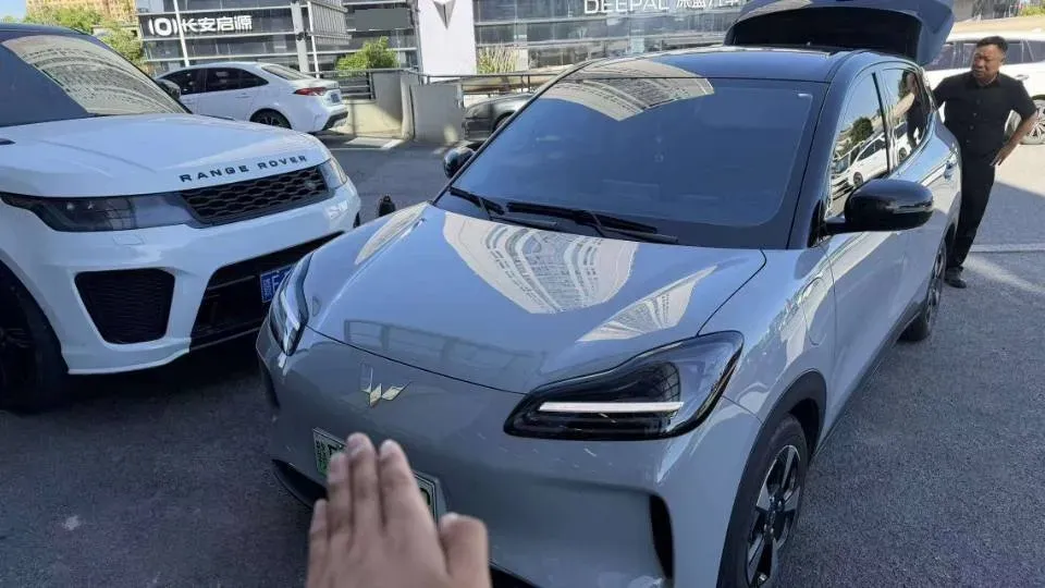 2024 WuLing BinGuoPLUS BEV 31.9KWH,autocango,china used car exporter,china ev exporter,chinese used car exporter,chinese used ev exporter
