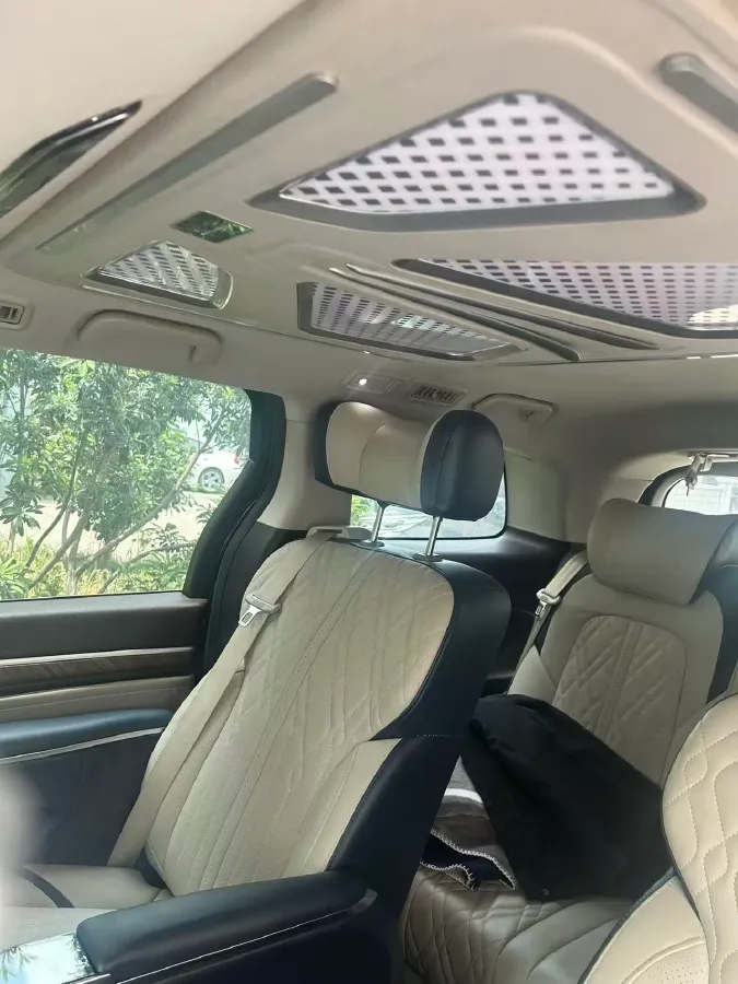2021 GAC Trumpchi M8 2.0T 252HP L4 8AT,autocango,china used car exporter,china ev exporter,chinese used car exporter,chinese used ev exporter