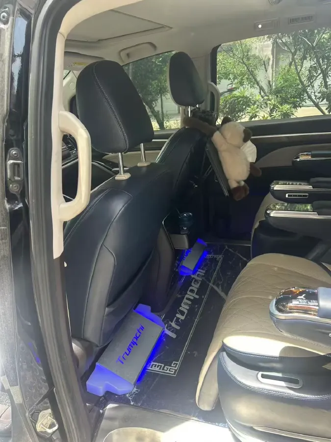 2021 GAC Trumpchi M8 2.0T 252HP L4 8AT,autocango,china used car exporter,china ev exporter,chinese used car exporter,chinese used ev exporter