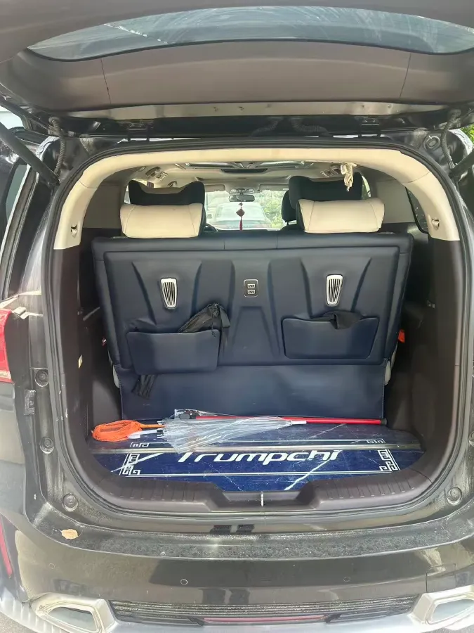 2021 GAC Trumpchi M8 2.0T 252HP L4 8AT,autocango,china used car exporter,china ev exporter,chinese used car exporter,chinese used ev exporter
