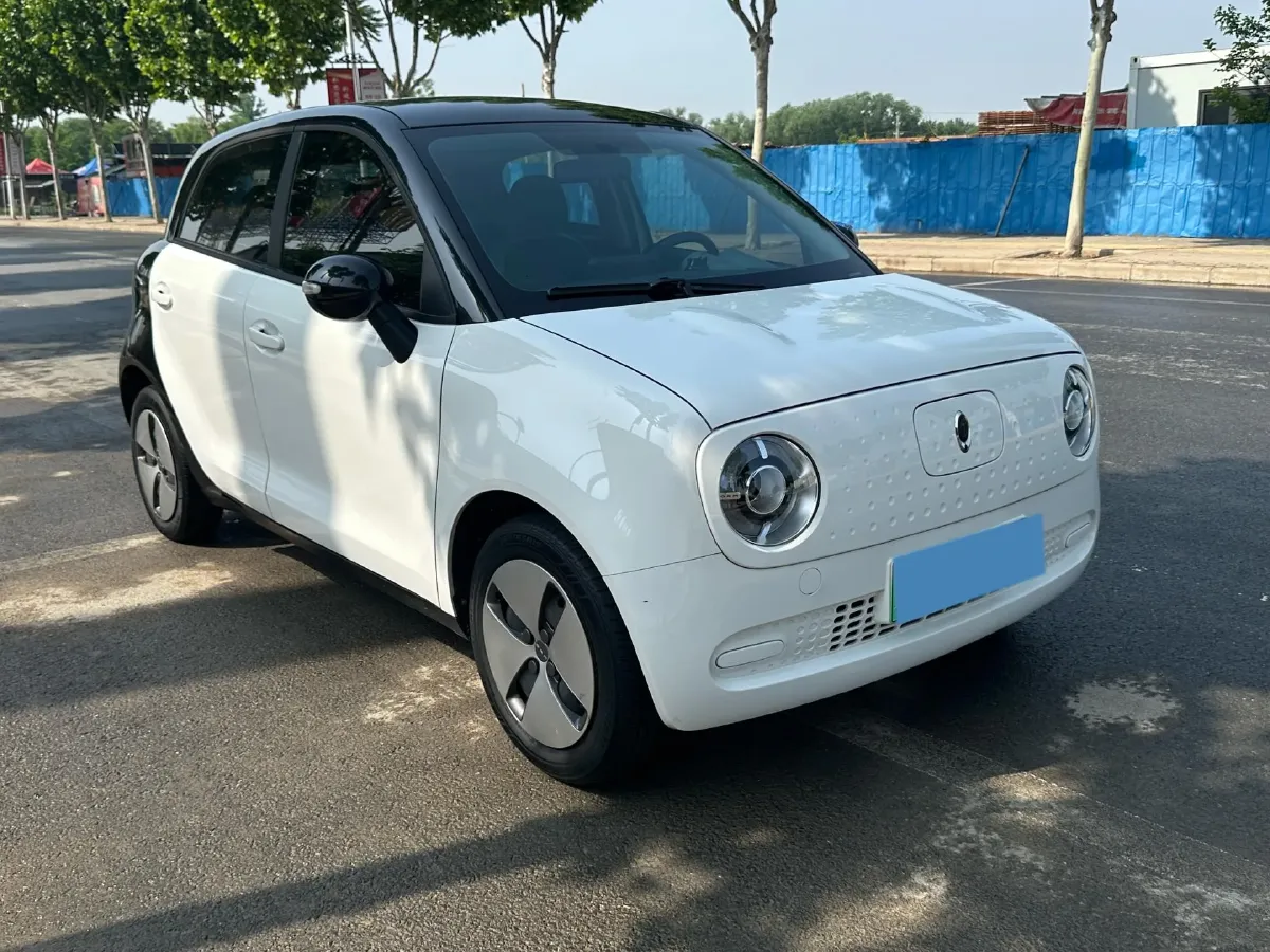 2019 Ora BlackCat BEV 28.5KWH,autocango,china used car exporter,china ev exporter,chinese used car exporter,chinese used ev exporter